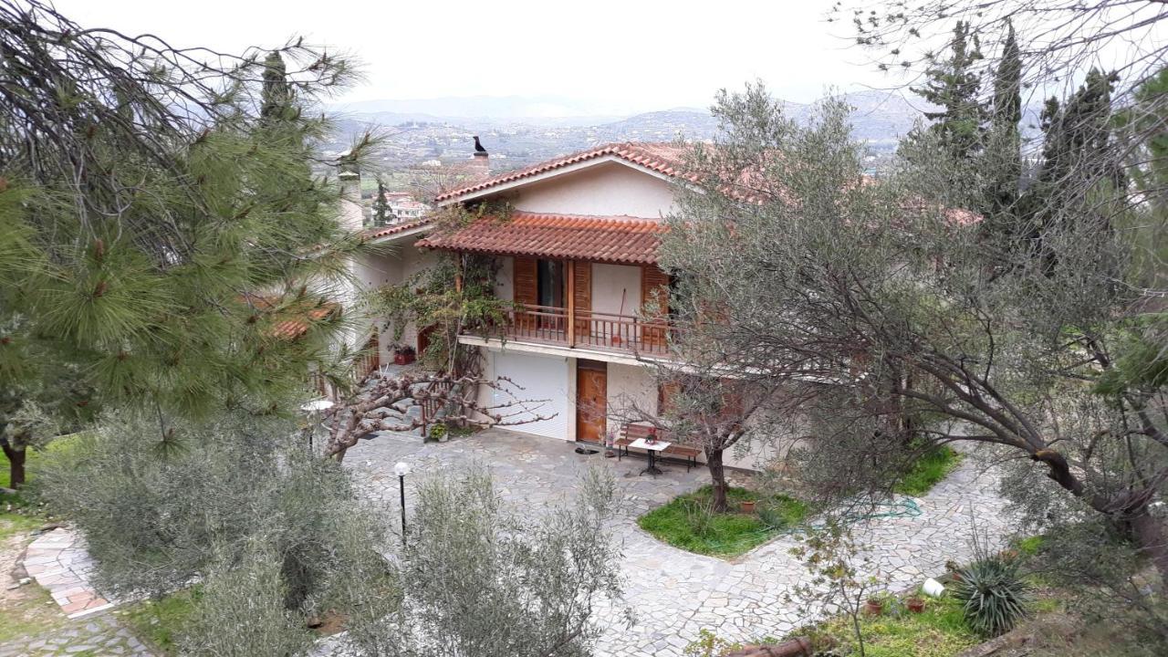 Σπίτι Σε Ελαιώνα, House In An Olive Grove Apartment Aria Exterior photo