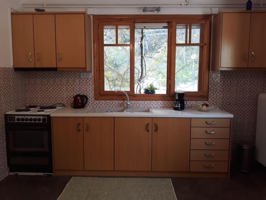 Σπίτι Σε Ελαιώνα, House In An Olive Grove Apartment Aria Exterior photo