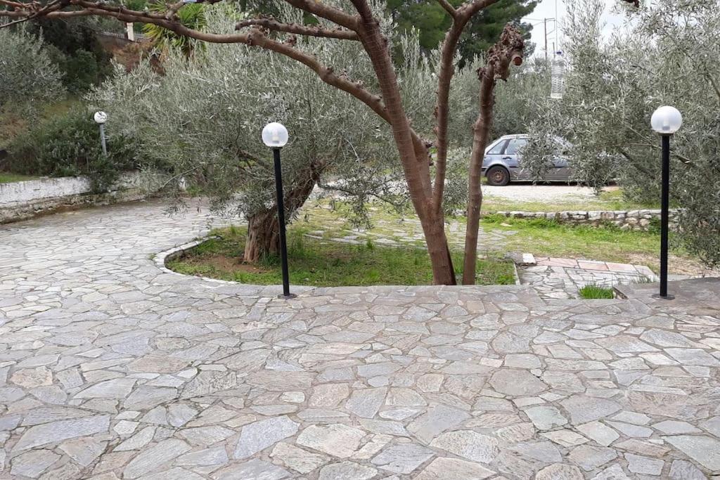 Σπίτι Σε Ελαιώνα, House In An Olive Grove Apartment Aria Exterior photo
