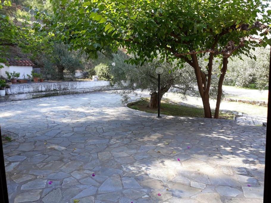 Σπίτι Σε Ελαιώνα, House In An Olive Grove Apartment Aria Exterior photo