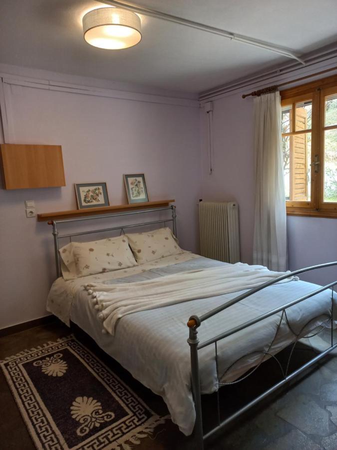Σπίτι Σε Ελαιώνα, House In An Olive Grove Apartment Aria Exterior photo